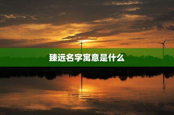 臻远名字寓意是什么