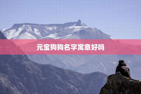 元宝狗狗名字寓意好吗