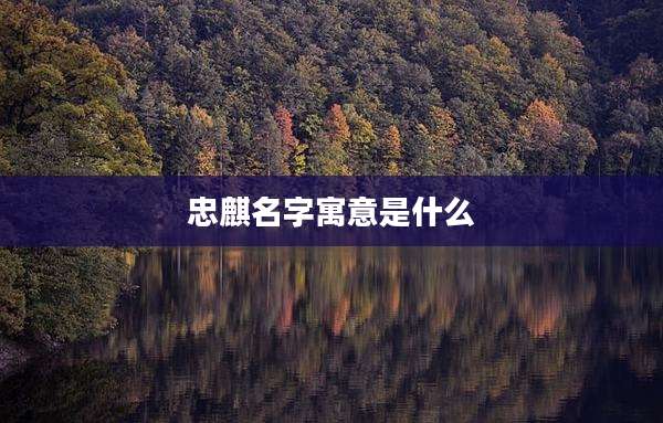 忠麒名字寓意是什么