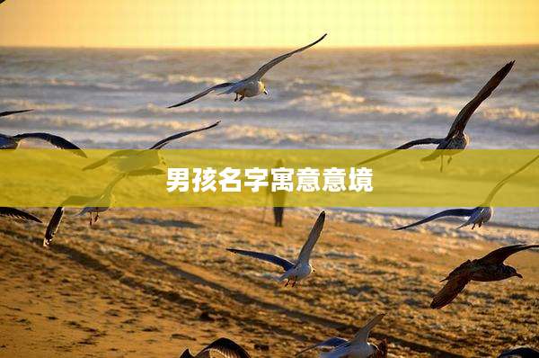 男孩名字寓意意境