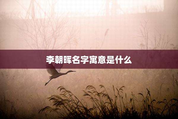 李朝晖名字寓意是什么