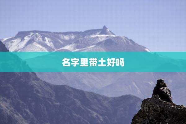 名字里带土好吗