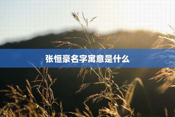 张恒豪名字寓意是什么