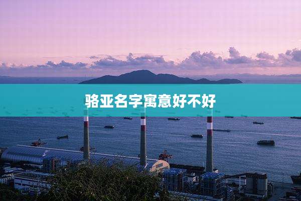 骆亚名字寓意好不好