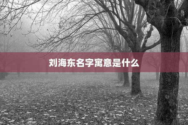 刘海东名字寓意是什么