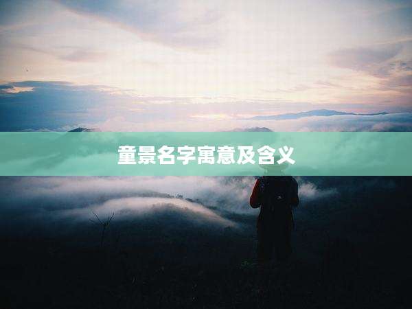 童景名字寓意及含义