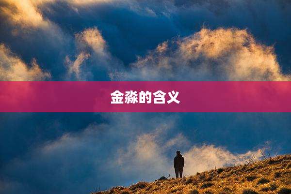 金淼的含义