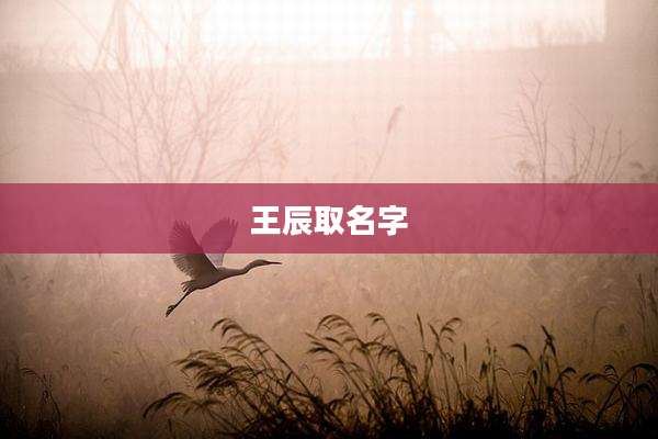 王辰取名字