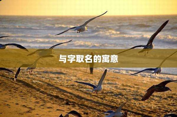与字取名的寓意