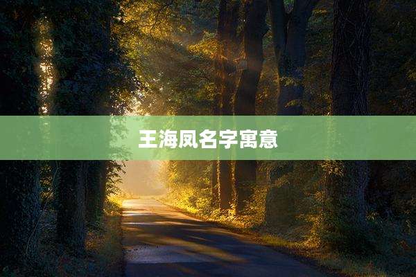 王海凤名字寓意