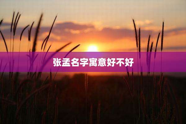 张孟名字寓意好不好