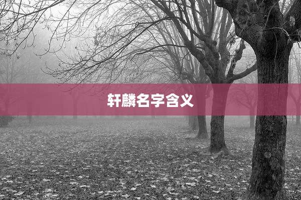 轩麟名字含义