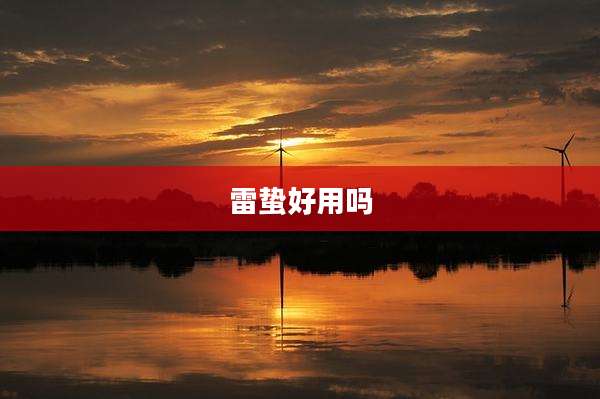 雷蛰好用吗