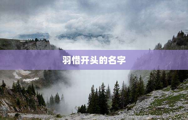 羽惜开头的名字