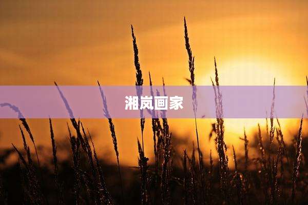 湘岚画家