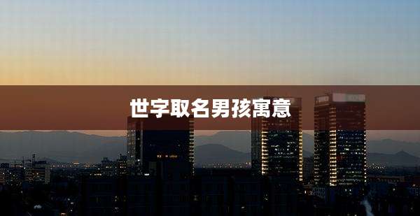 世字取名男孩寓意