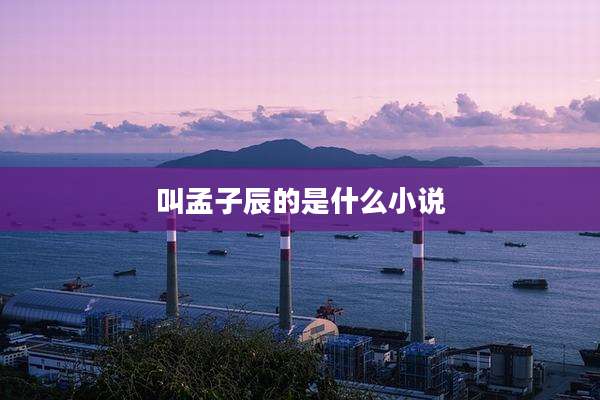 叫孟子辰的是什么小说