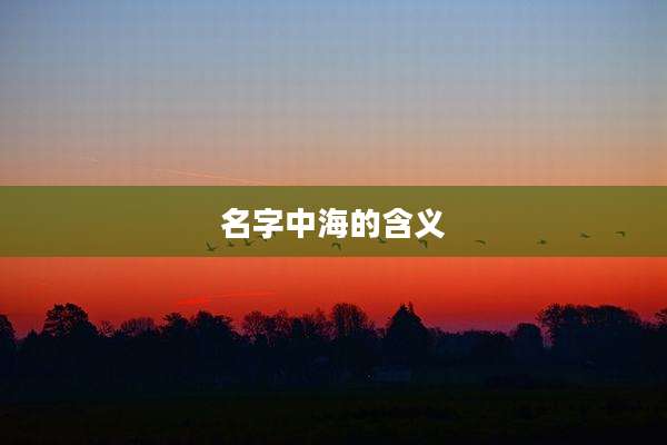 名字中海的含义