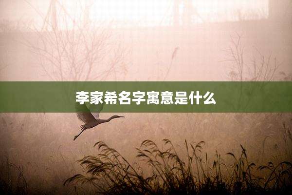 李家希名字寓意是什么