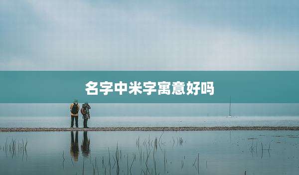 名字中米字寓意好吗