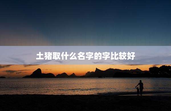 土猪取什么名字的字比较好