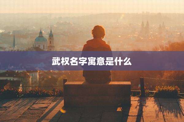武权名字寓意是什么