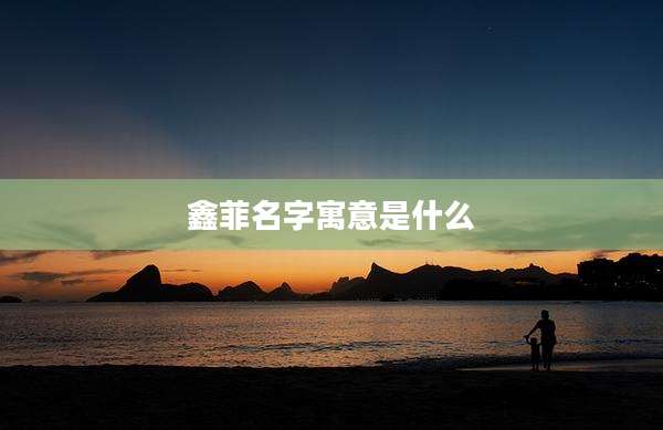 鑫菲名字寓意是什么