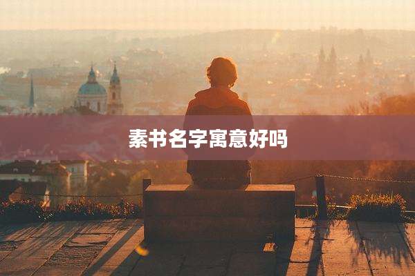 素书名字寓意好吗