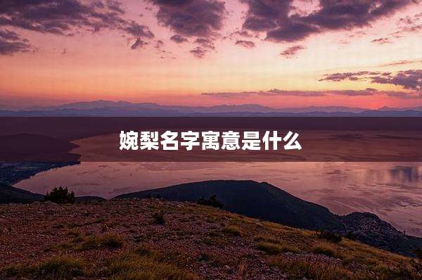 婉梨名字寓意是什么