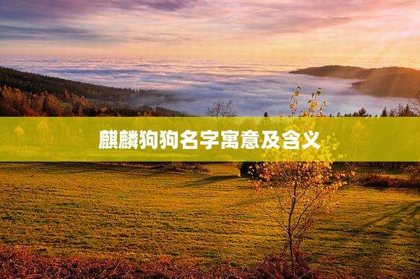 麒麟狗狗名字寓意及含义