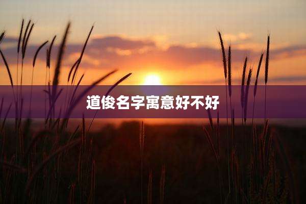 道俊名字寓意好不好