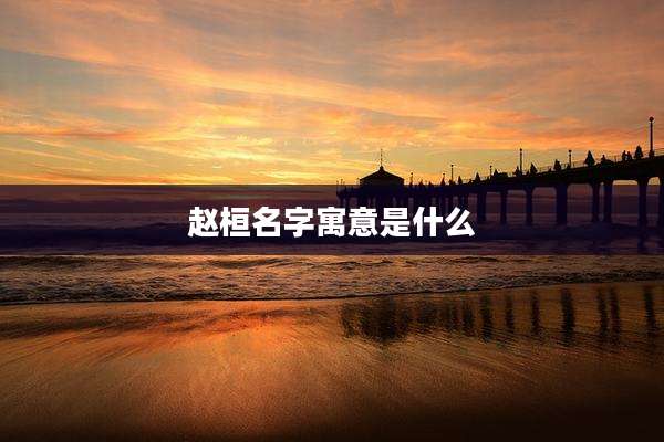 赵桓名字寓意是什么