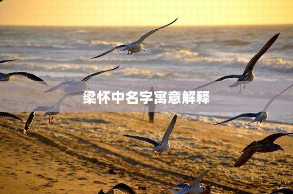 梁怀中名字寓意解释