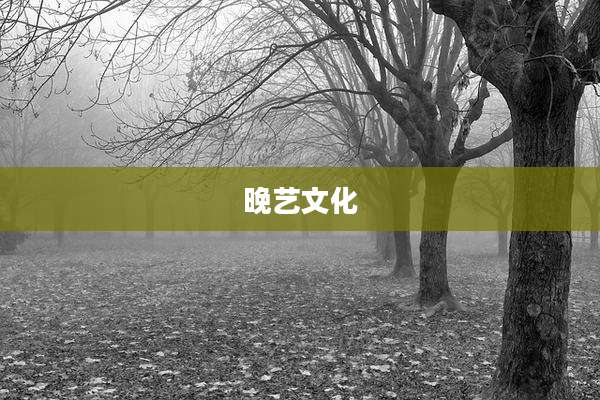 晚艺文化