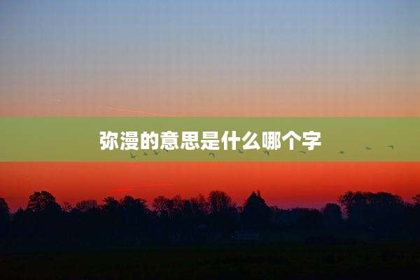 弥漫的意思是什么哪个字