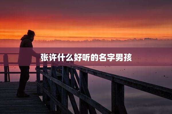张许什么好听的名字男孩