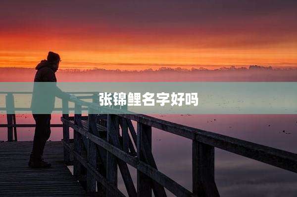张锦鲤名字好吗