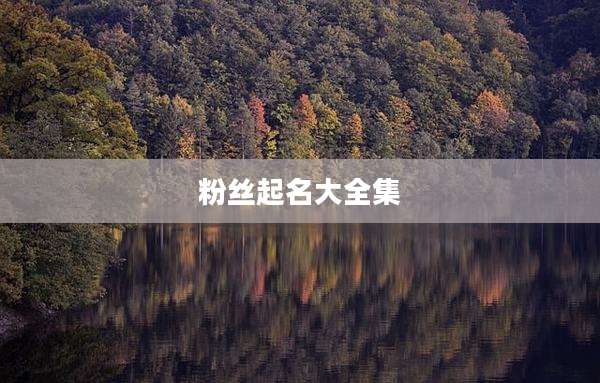 粉丝起名大全集