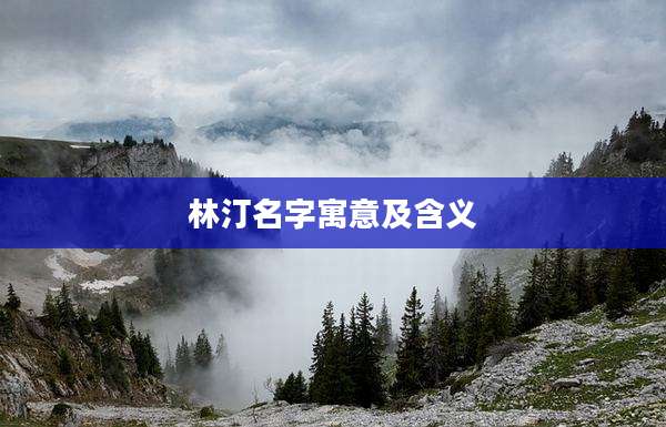 林汀名字寓意及含义