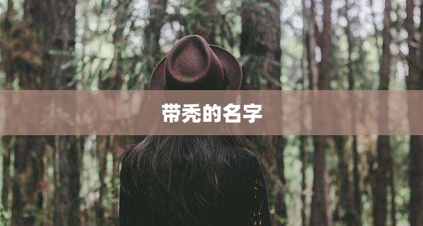 带秃的名字