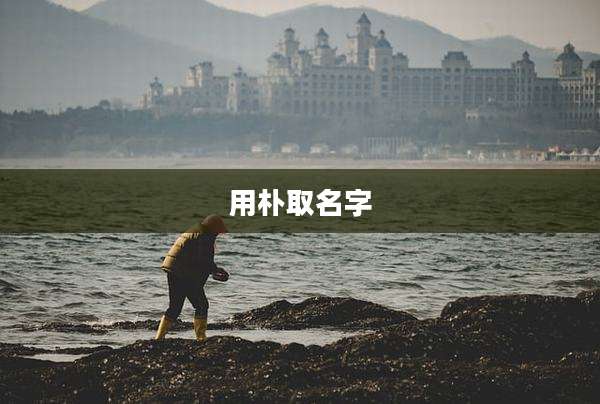 用朴取名字