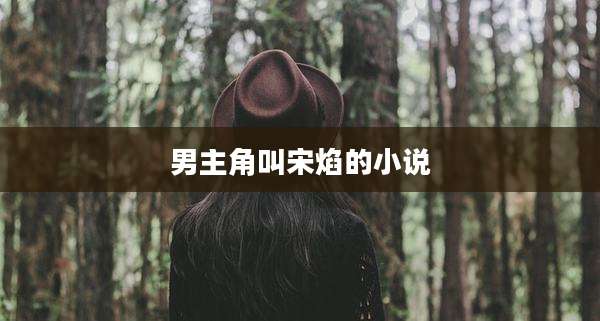 男主角叫宋焰的小说