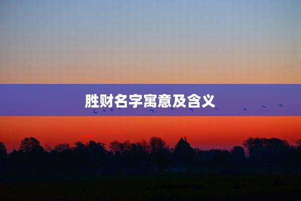 胜财名字寓意及含义