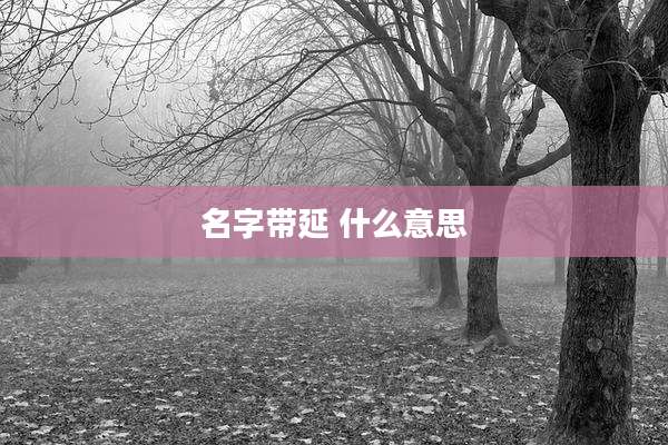 名字带延 什么意思