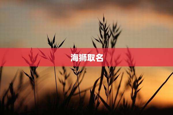 海狮取名