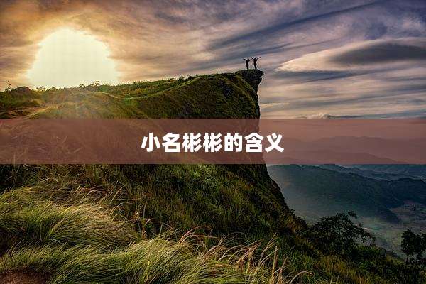 小名彬彬的含义