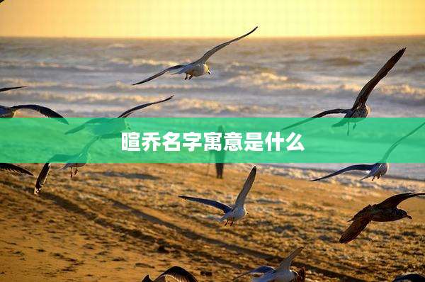 暄乔名字寓意是什么