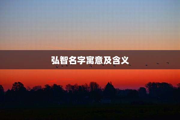 弘智名字寓意及含义
