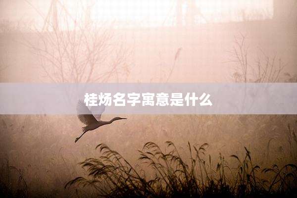 桂炀名字寓意是什么