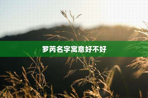 罗芮名字寓意好不好